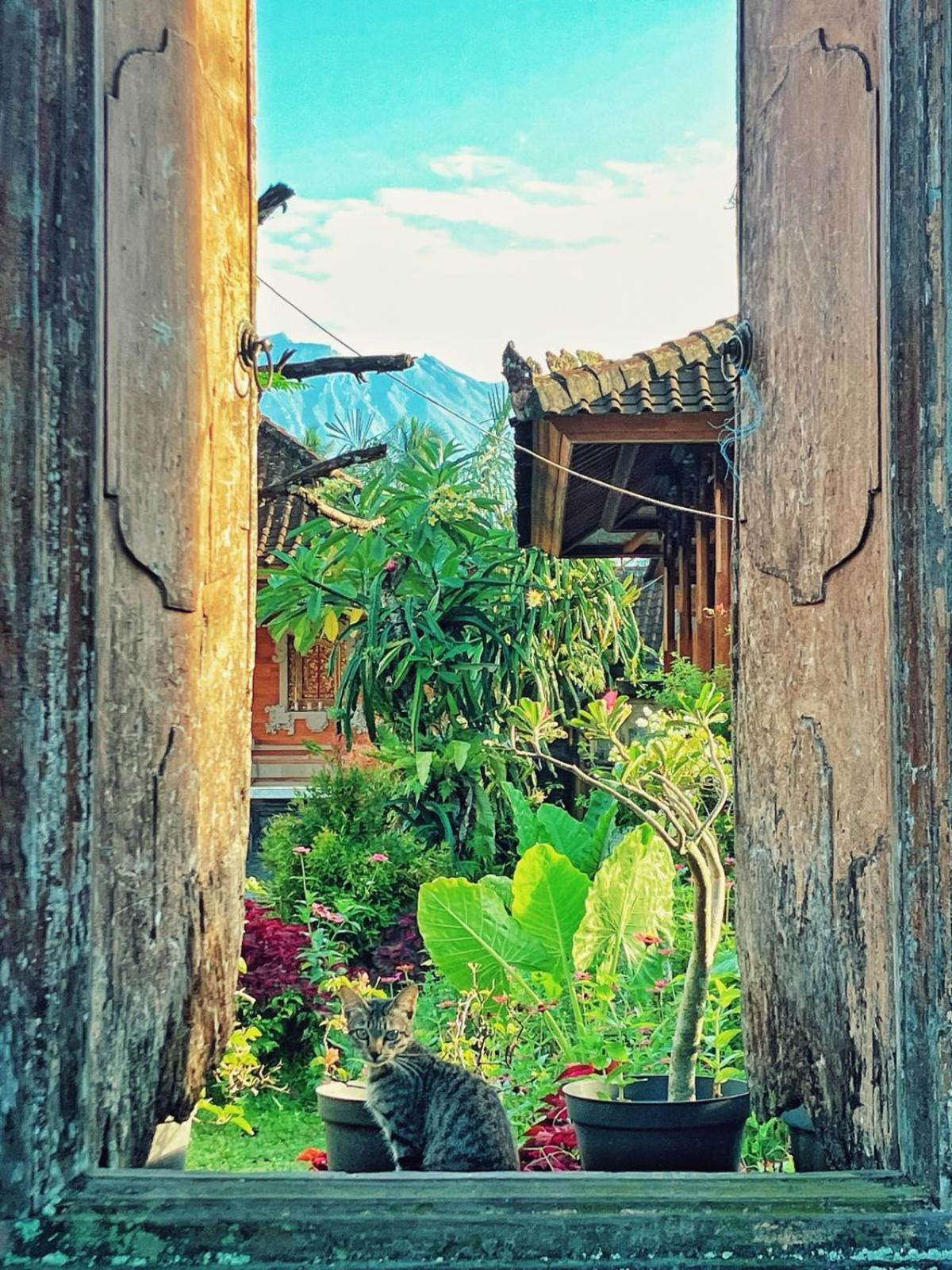 House Market Sidemen  Ngoại thất bức ảnh