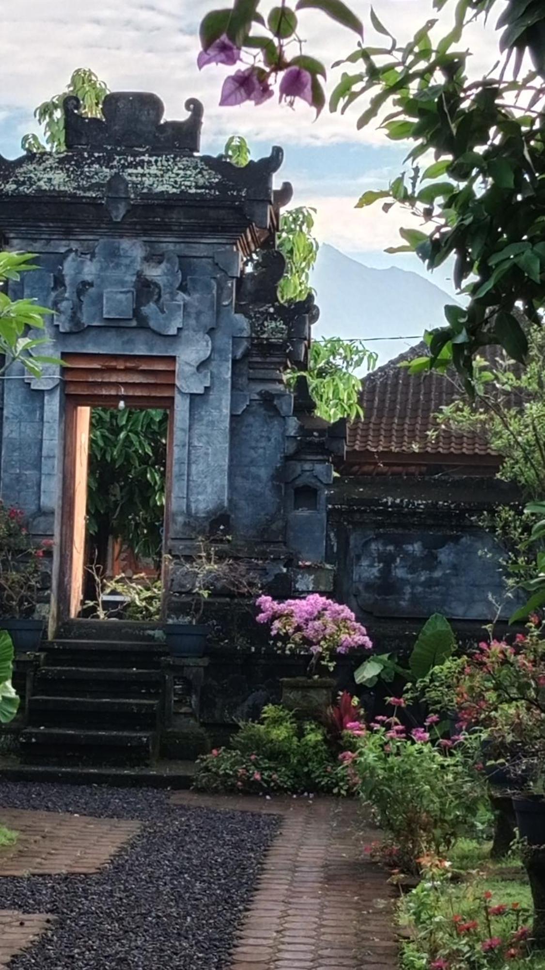 House Market Sidemen  Phòng bức ảnh